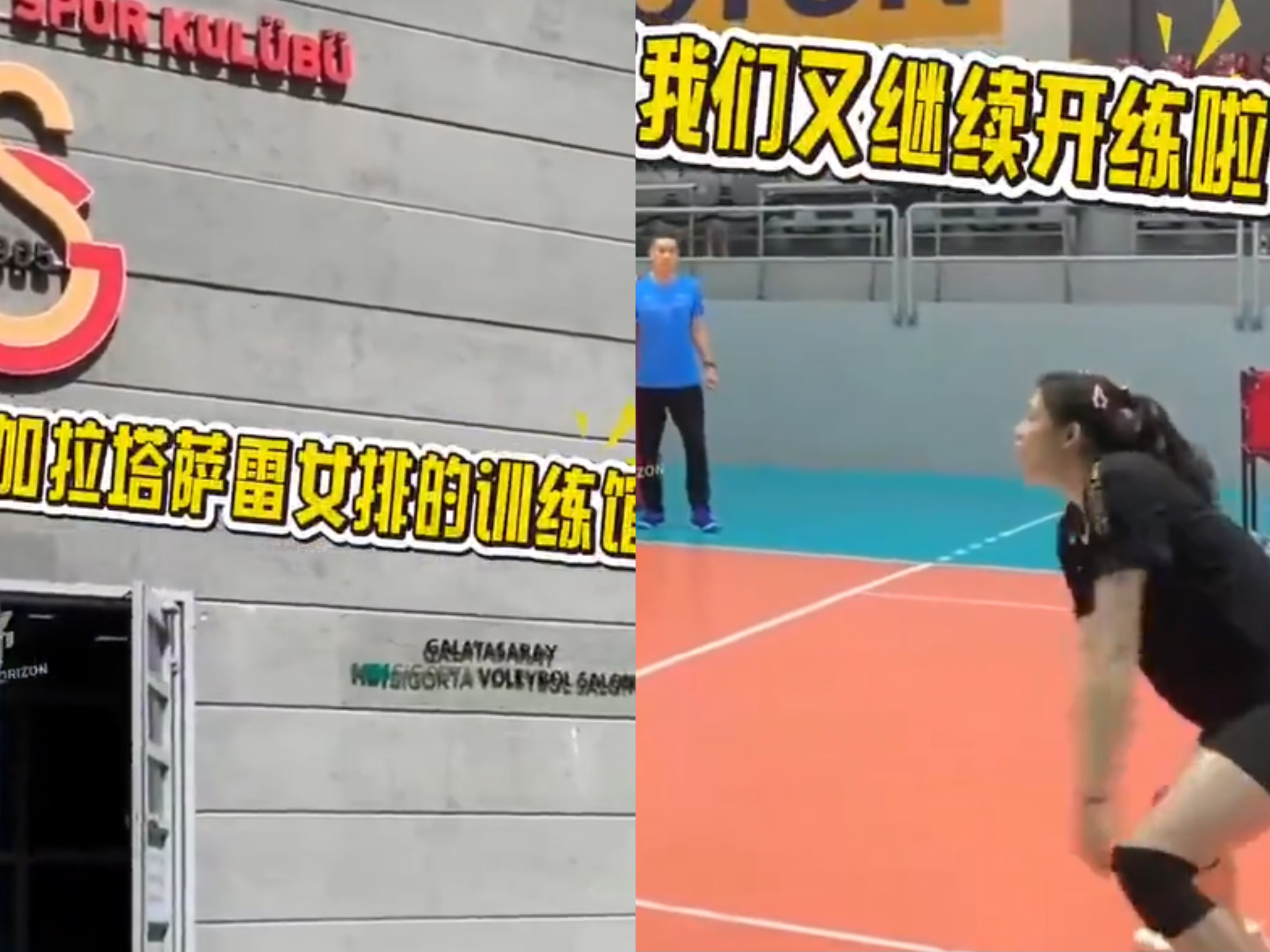 排球国际形