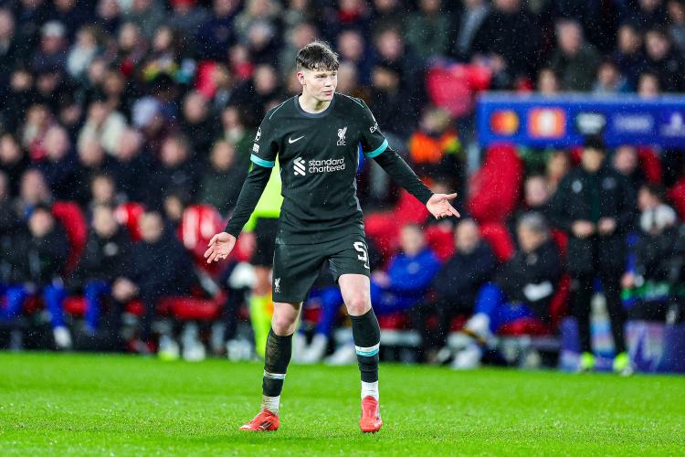 提供欧战机, 引了一些欧, 于荷甲豪门 提供欧战机, 引了一些欧, 于荷甲豪门