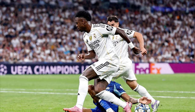 观赏体验 观赏体验